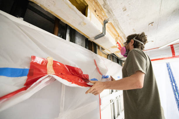 Mold Documentation for Insurance Claims in Petoskey, MI